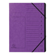 Exacompta Ordnungsmappe 541208E DIN A4 12Fächer Karton violett