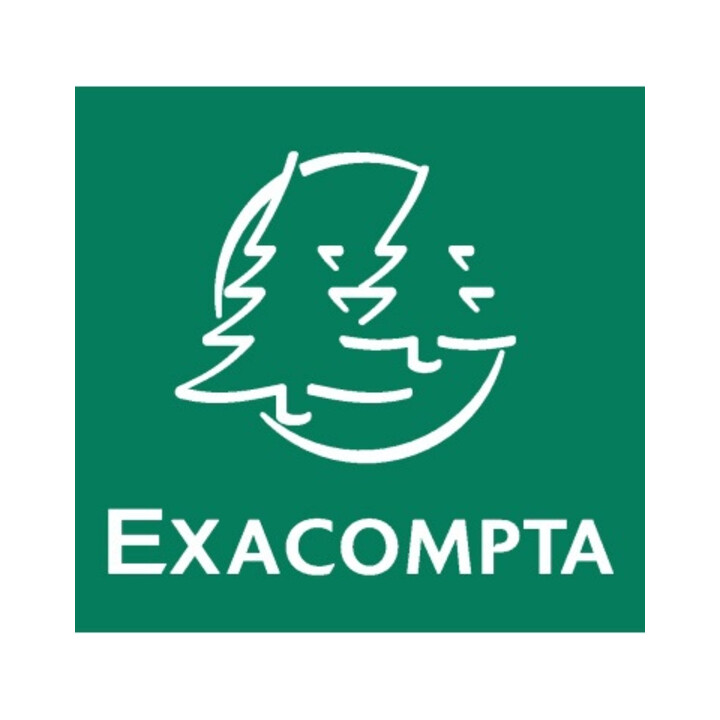 Exacompta Sammelmappe 56409E DIN A4 3Klappen Karton orange