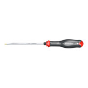 Facom Cacciavite PROTWIST esagonale 5,5 mm-1