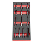 Facom Module bitset-3