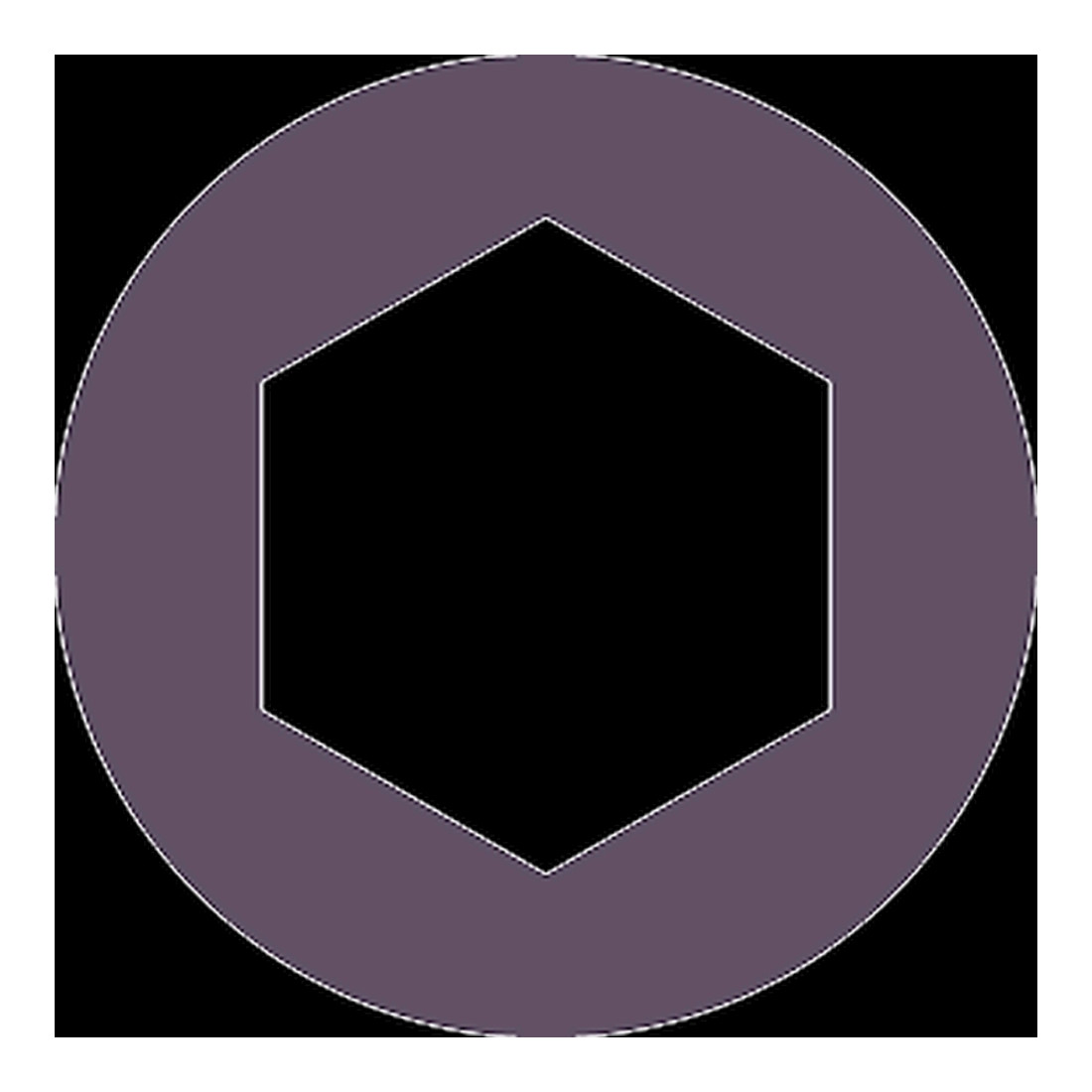 Facom Série d’embouts 0 - Hexagonal 2,5 mm