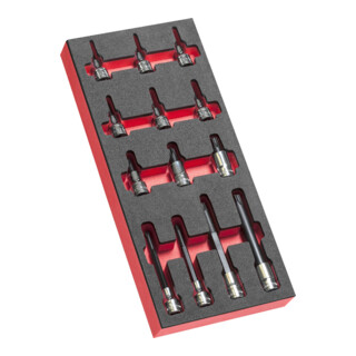 Facom Set inserti TX 1/2" in schiuma mod. 13x