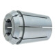 FAHRION Spannzange abgedichtet mit Vierkant GERC16- 4x3,2-1