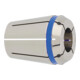 FAHRION Spannzange DIN6499B HPD25 10,0mm-1