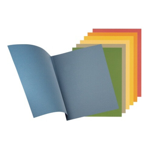 Falken Aktendeckel 80001167 23x31,8cm gefalzt Karton 250g gn