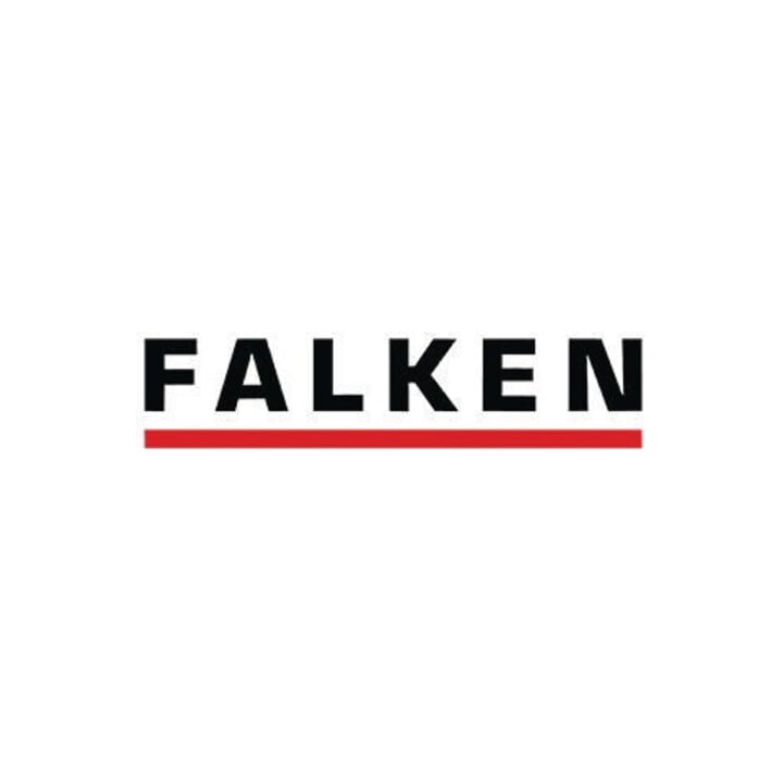 Falken Ösenhefter 80000565 DIN A4 ganzer Deckel Behördenheftung ch