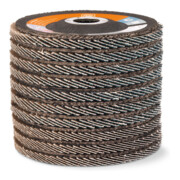 Fein Fächerschleifscheibe, Ø 125 mm-4