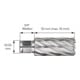Fein HSS SPECIAL 50 Kernbohrer mit 3/4 in Weldon-Aufnahme, Schnitttiefe 50 mm-5