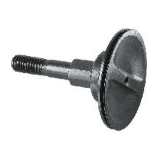 Fein Spaneenheid