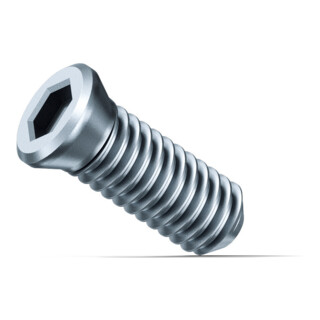 Fein Vis de fixation SX, Quantité 10 Pce