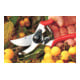 Felco 11 Baumschere