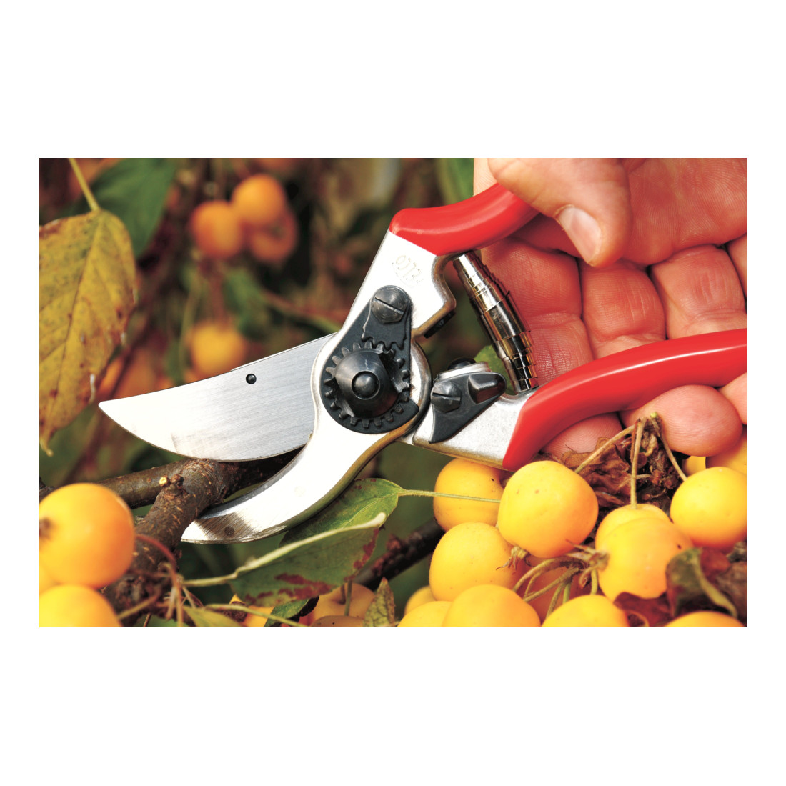 FELCO 11 snoeischaar