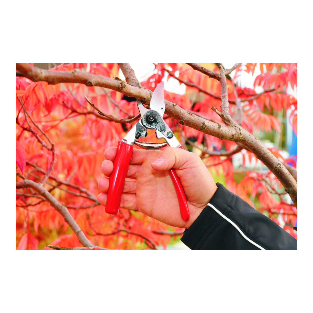 Felco 12 Baumschere