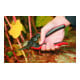 FELCO 160S snoeischaar Essentiel Small-3