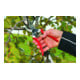 Felco 2 Baumschere