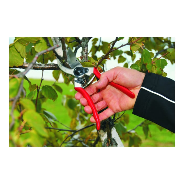 Felco 2 Baumschere