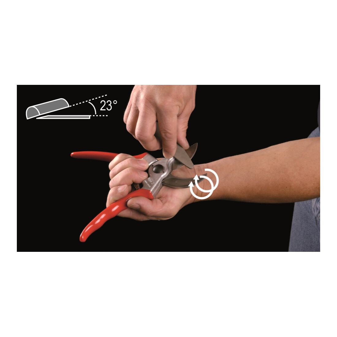 FELCO 2 Baumschere + FELCO 903 Schleifwerkzeug