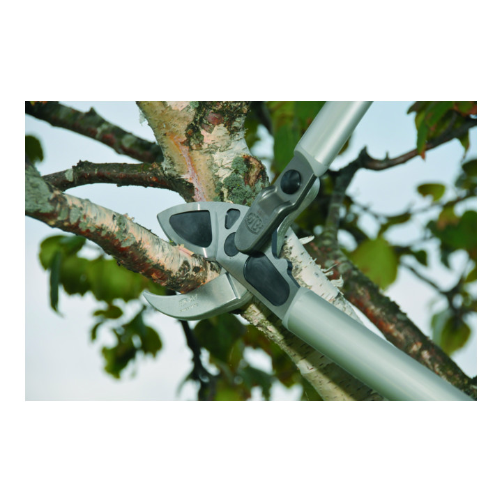 FELCO 231 getande snoeischaar