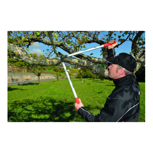 Felco 231 Getriebeastschere