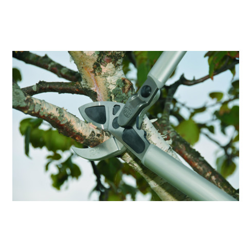 Felco 231 Getriebeastschere