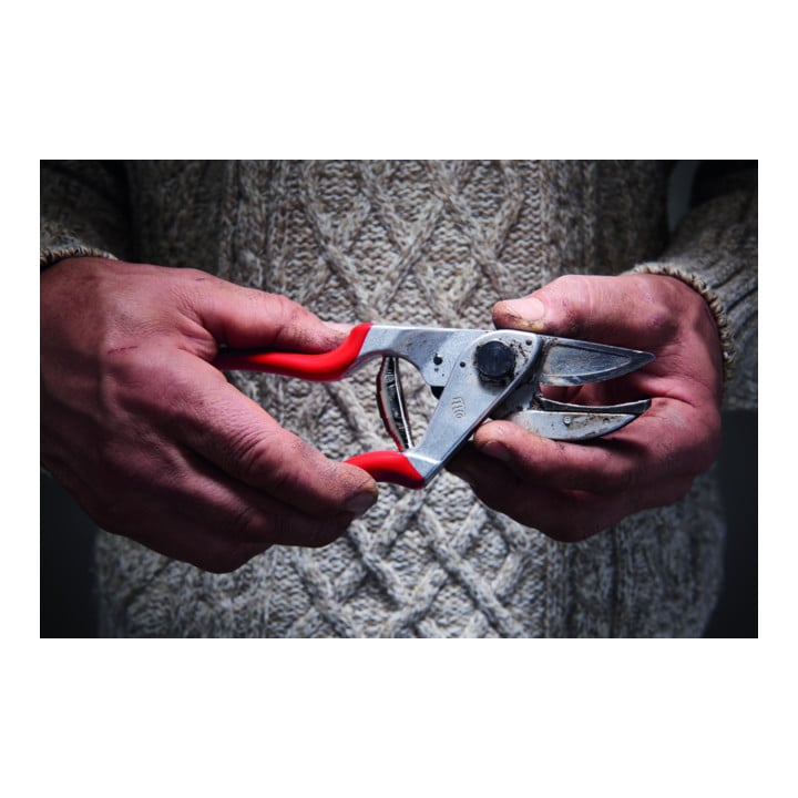 FELCO 32 Aambeeldschaar