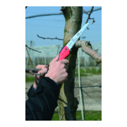 Felco 611 Baumsäge-3