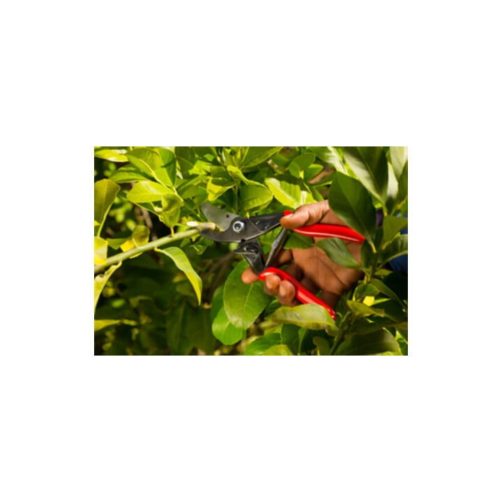 FELCO Baum-, Reb-, Gartenschere mit spitz zulaufendem Schneidkopf