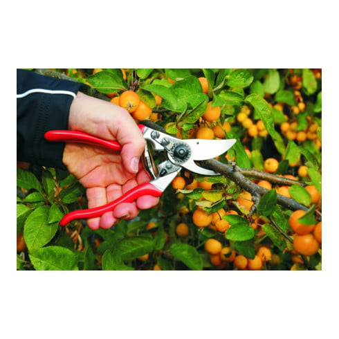 FELCO Forbici da potatura 9