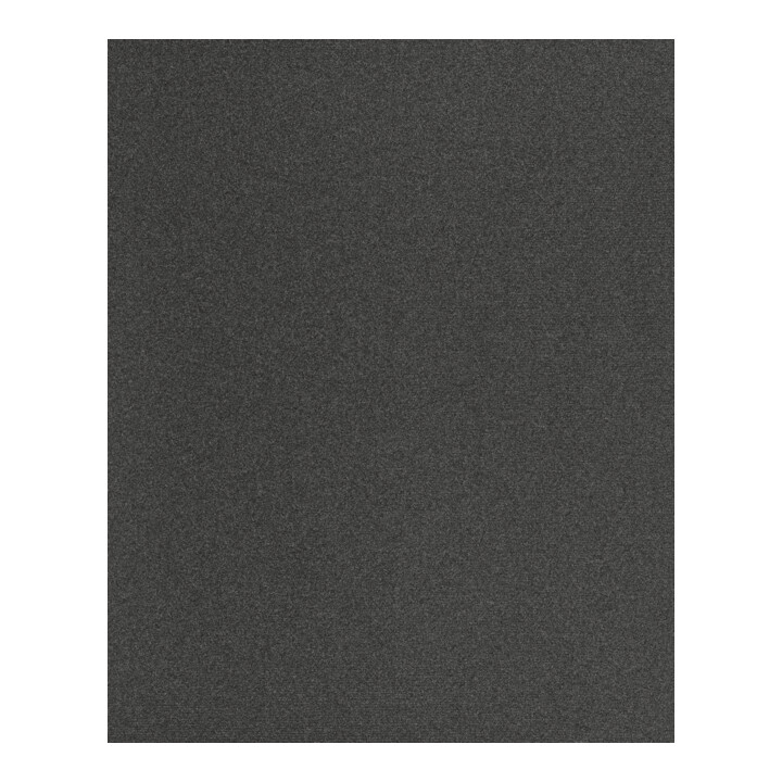 Feuille PFERD BG BL 230x280 A 100
