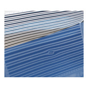 Fiche pour experts Eichner-5