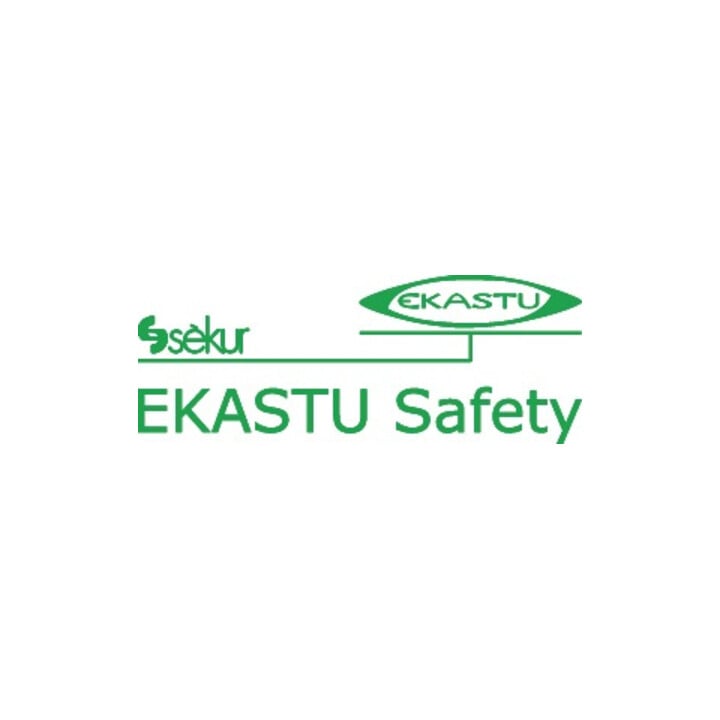 Ekastu Filtre à particules 230 P3R D
