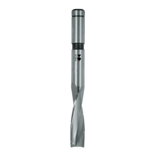 Fisch Langlochbohrer D6442B HSS 14x50/135mm S13mm