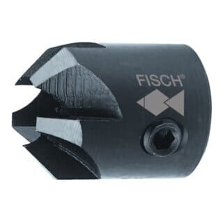 Fraise enfichable 90° 6