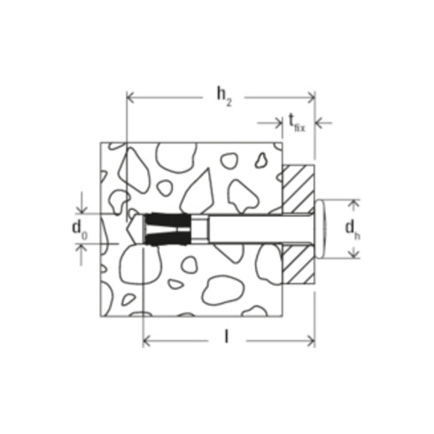 fischer Ancrage de clou FNA II 6x30/15