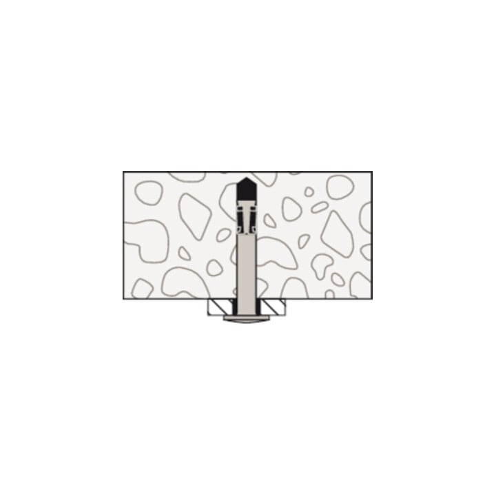 fischer Ancrage de clou FNA II 6x30/15