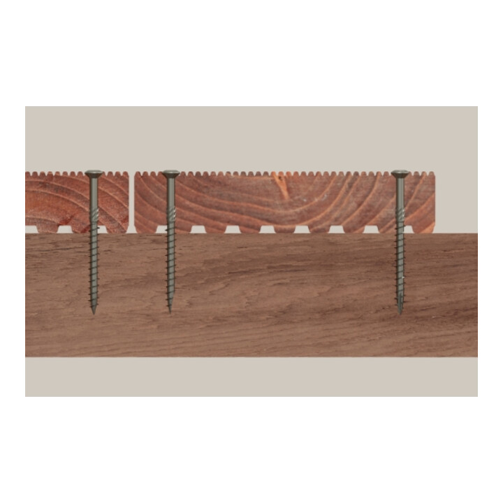 fischer Box Terrace Screws
