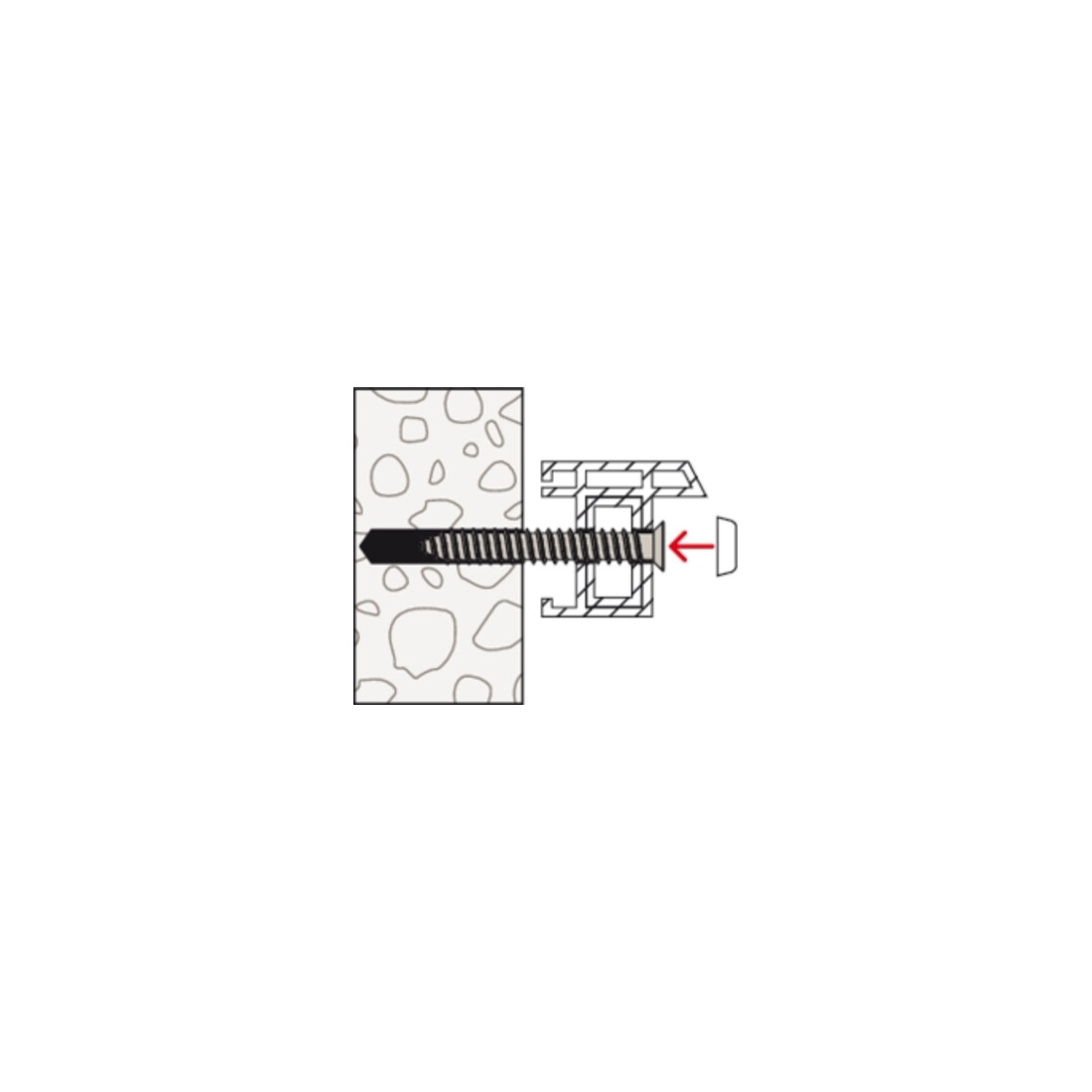 fischer Capuchon de protection FFSZA
