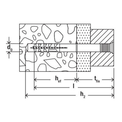 fischer Cheville à clou N 5x30/10 S K (20)