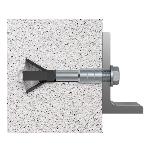 fischer Cheville pour béton cellulaire FPX-I M6 K (2)