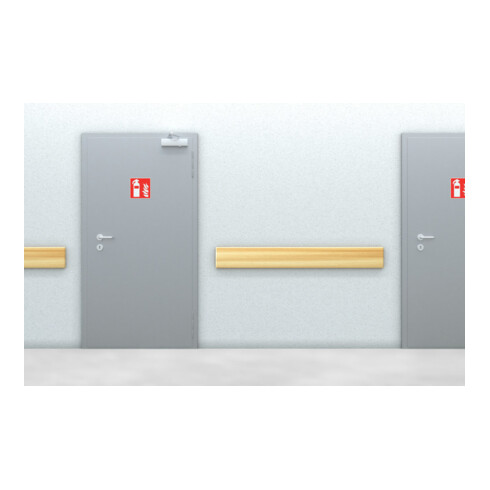 fischer Chevilles laiton MS 6x22 K (15)
