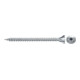 fischer Spanplattenschraube Classic-Fast II VG mit Innensechsrund (TX)