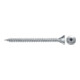 fischer Spanplattenschraube Classic-Fast II VG mit Innensechsrund (TX)