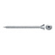fischer ClassicFast II 3,0x16 SK TX VG blvz