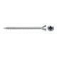 fischer ClassicFast II 3,0x20 SK PZ VG blvz