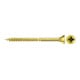 fischer ClassicFast II 4,0x55 SK PZ TG gevz-1