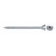 fischer ClassicFast II 4,5x20 SK TX VG blvz