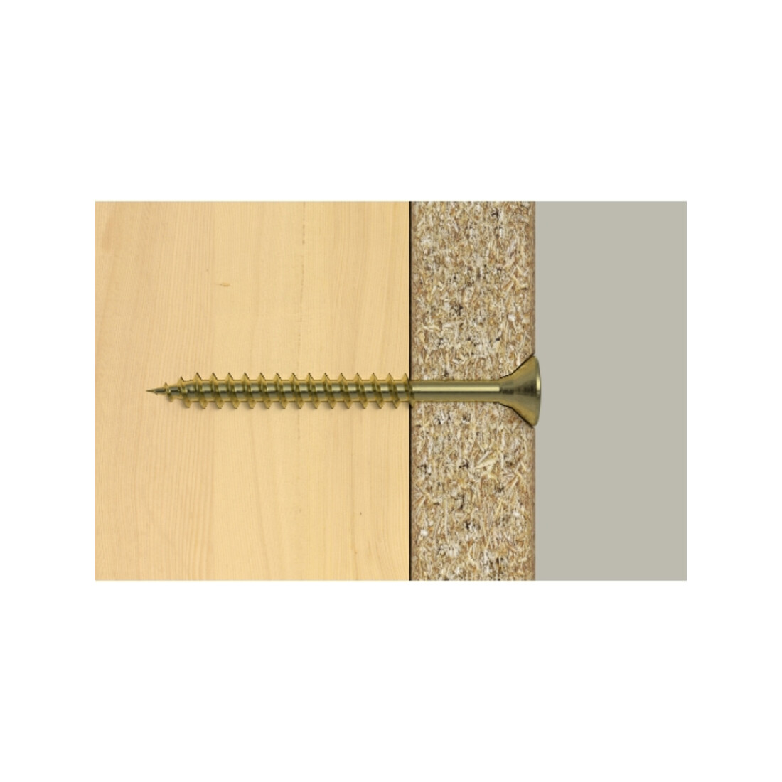 fischer ClassicFast II 6,0x100 SK gevz TG PZ 100