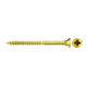 fischer ClassicFast II 6,0x100 SK PZ TG gevz 100