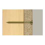 fischer ClassicFast II 6,0x100 SK PZ TG gevz 100-2