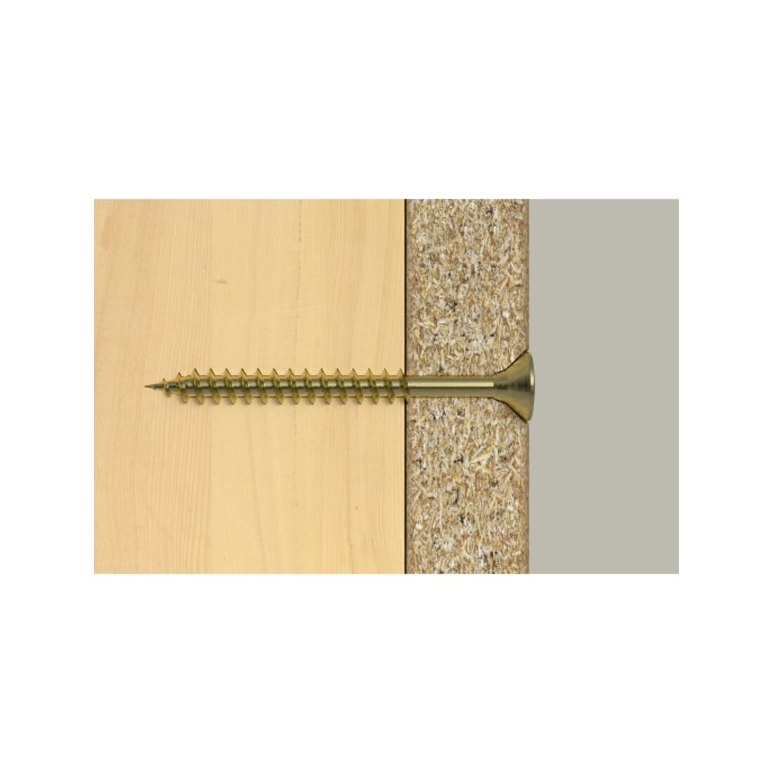 fischer ClassicFast II 6,0x100 SK PZ TG gevz 100
